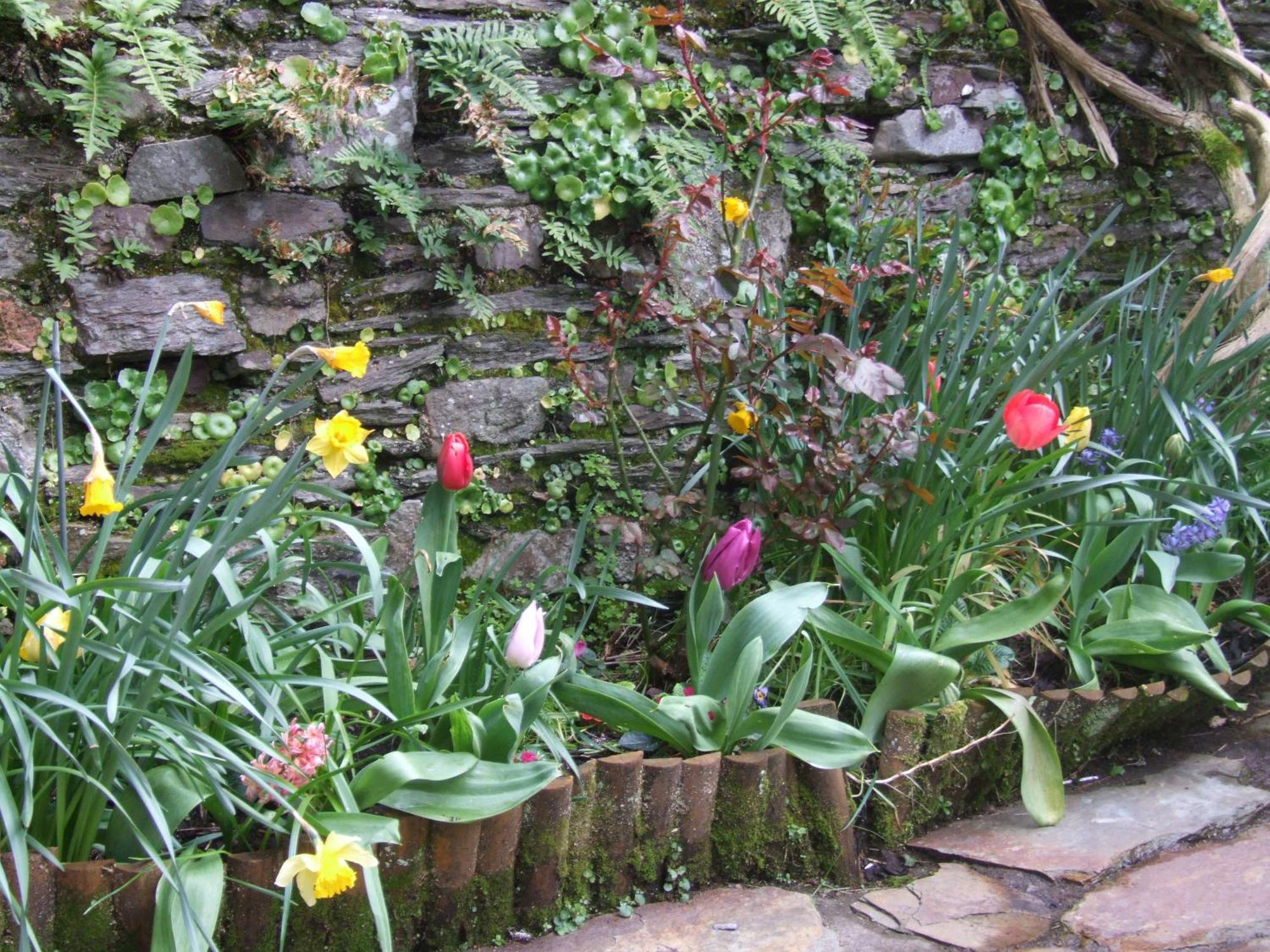 Inglenook Villa Kinsale Eksteriør bilde
